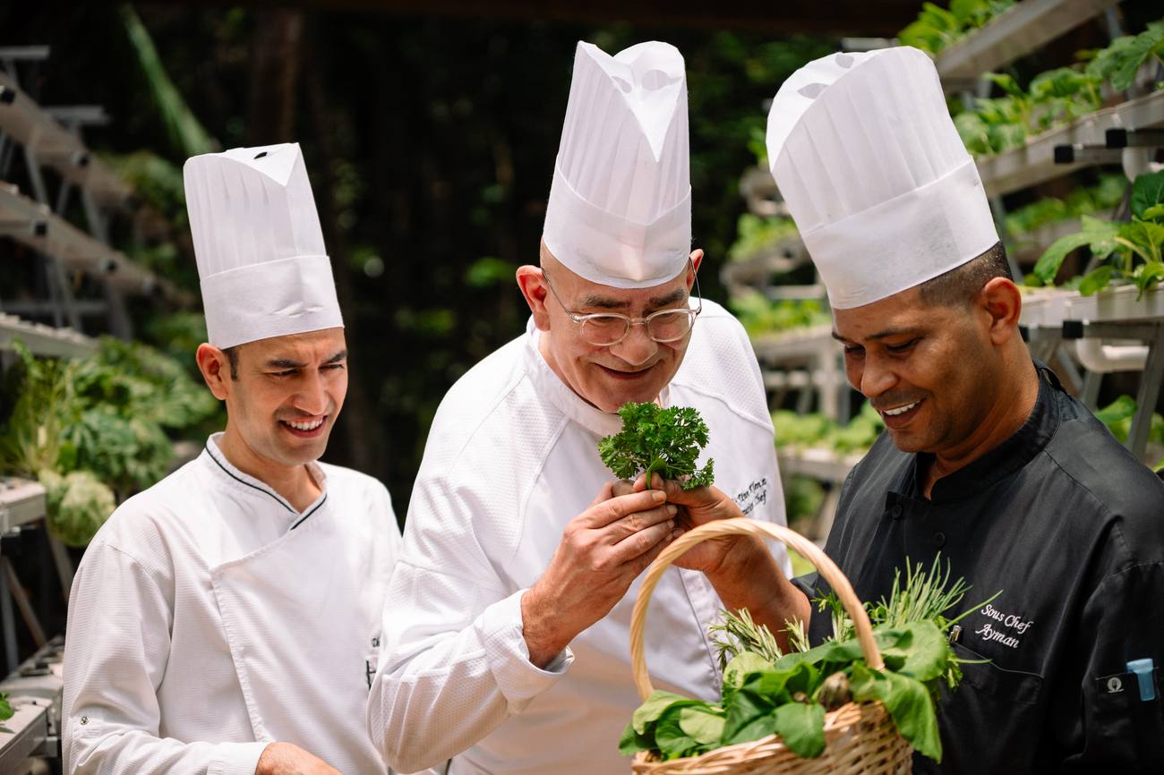 Chefs with a basket of fresh herbs